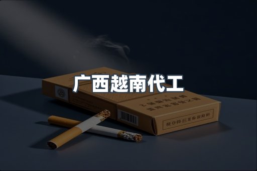 广西越南代工